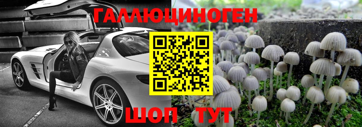 Псилоцибиновые грибы мухоморы Пятигорск